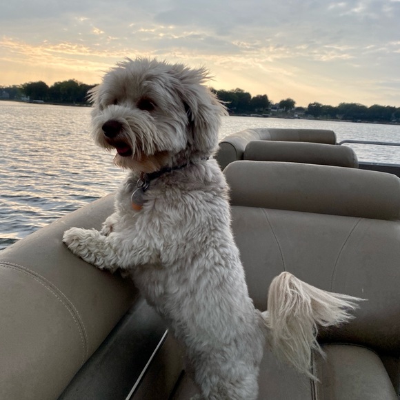 Live Show Listing 🫶🏼🫶🏼 - Picture 6 of 8